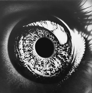 Eliot Allsop Event Horizon